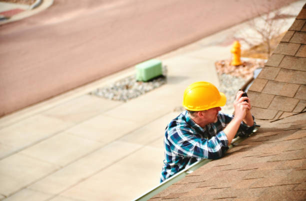 Best Sealant for Roof  in Gorevle, IL