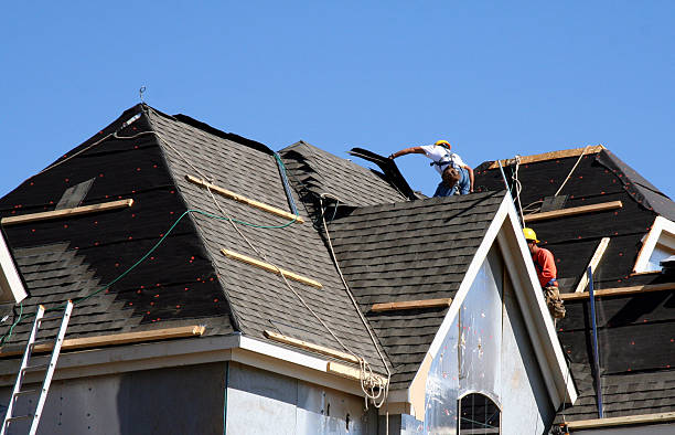 Best Roof Repair Specialists  in Gorevle, IL