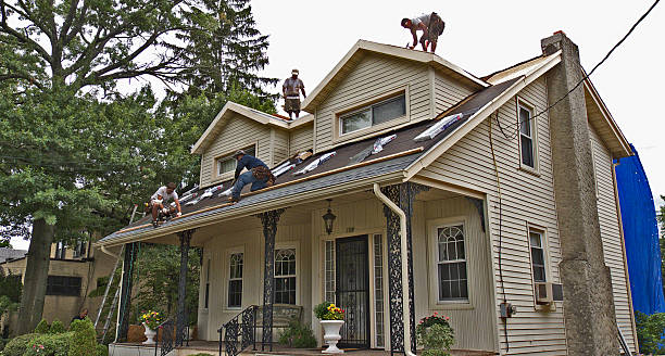 Best Roof Maintenance Services  in Gorevle, IL
