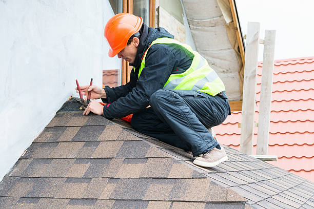 Best Roof Leak Repair  in Gorevle, IL